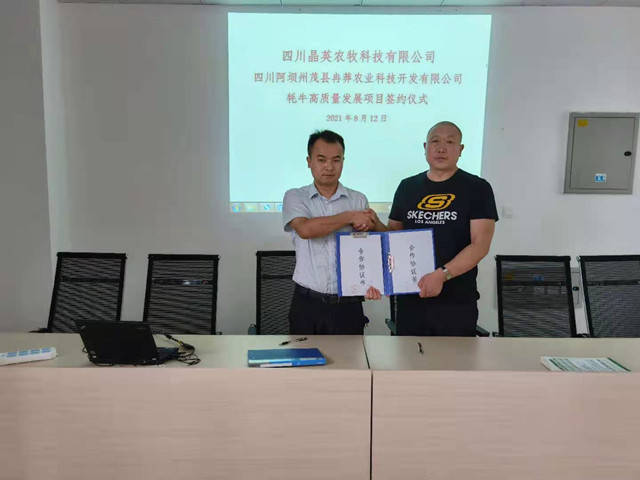 牛羊|茂縣冉莽農業科技公司： 結親晶英農牧 助力牧區牛羊越冬渡春
