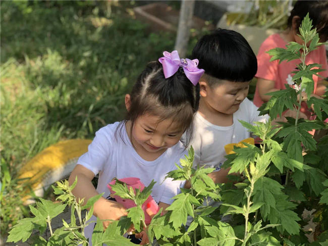 张瑞丰|打破焦虑 赋能成长：章丘桃花山实验幼儿园用“金牌服务”重建育儿关键价值