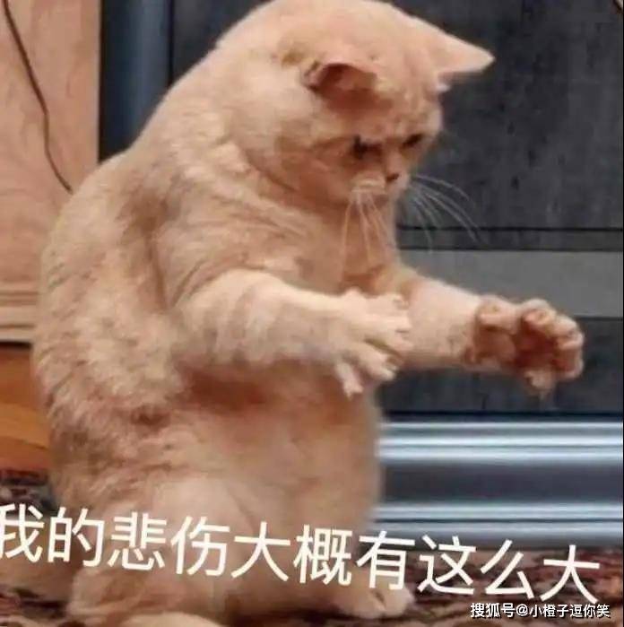 搞笑段子：和女生吵架時的注意事項！ 搞笑整蠱 第7张