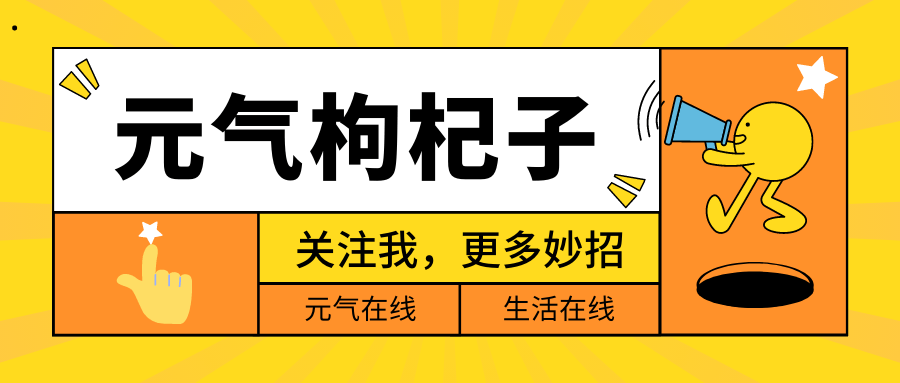 废纸|手残党折纸福利，随手一招，变废为宝