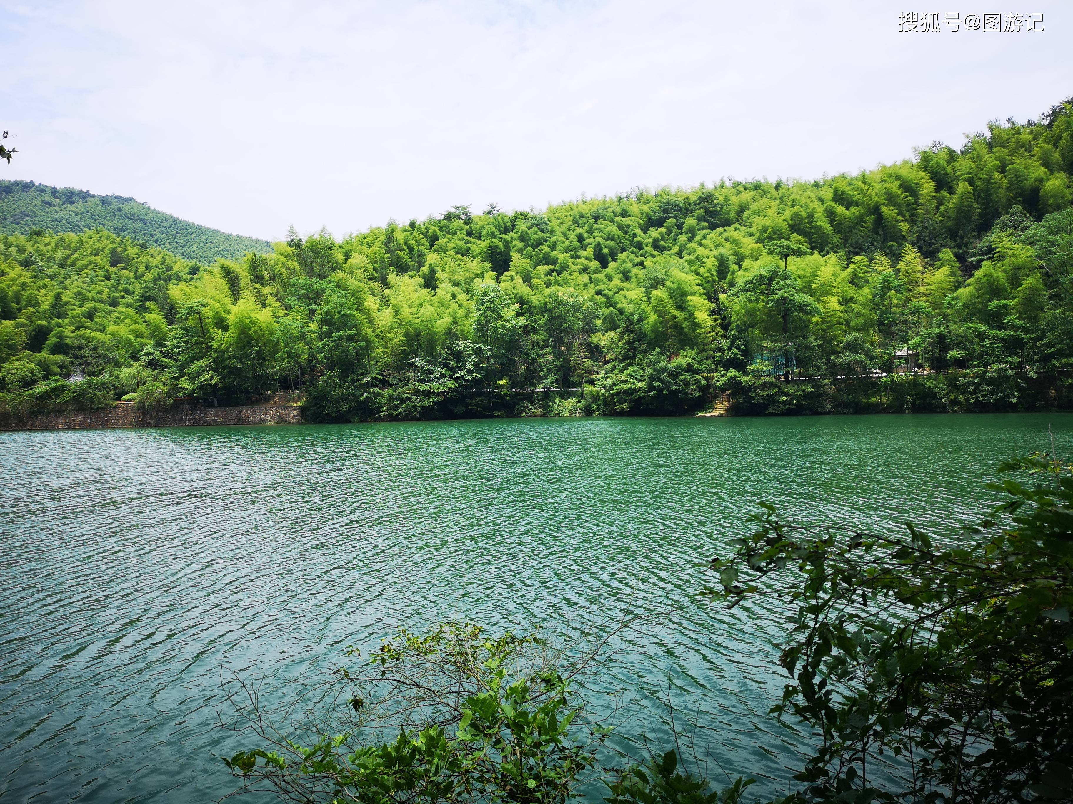 消息资讯|夏日旅游，行走竹海，一个清凉的世界