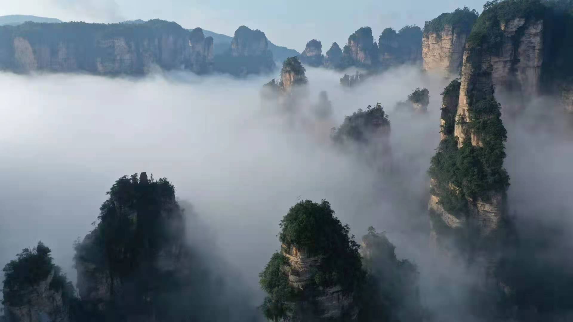 访问量破1个亿!张家界武陵源这场雨后云海美出新高度