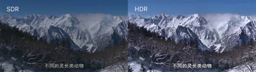 算法|西瓜视频是如何实现“端到端HDR”的 | Q推荐