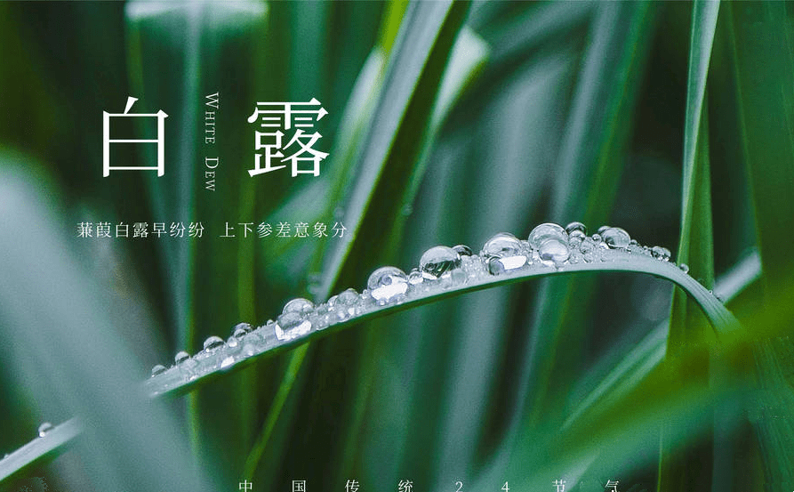 茶匙|明日白露，6种白色美食记得吃，寓意美满又营养，为秋冬打好基础