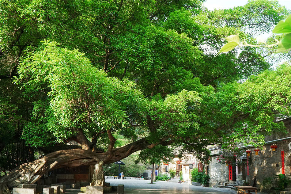 贺州|广西：贺州，黄姚，姚江畔恬静质朴的一首“田园诗”