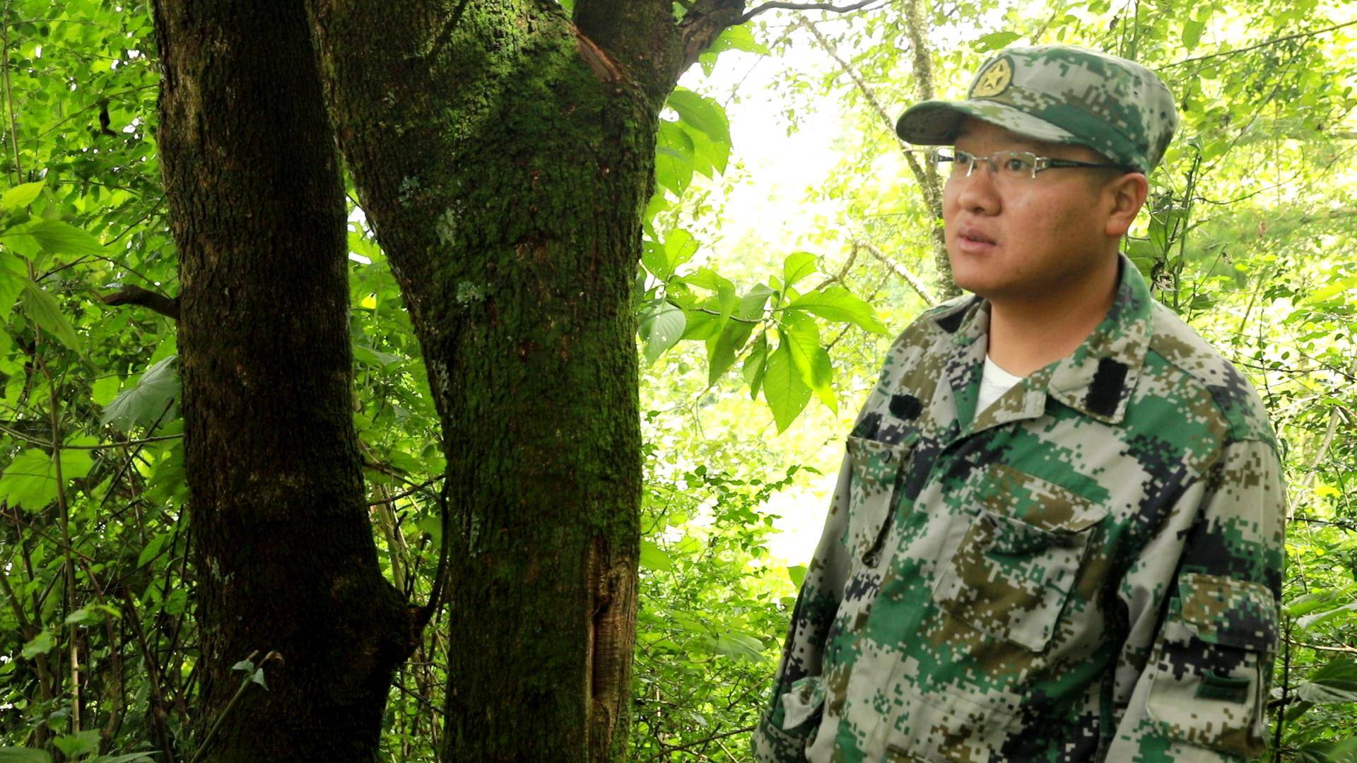 善洲林场万物和谐的美丽世界