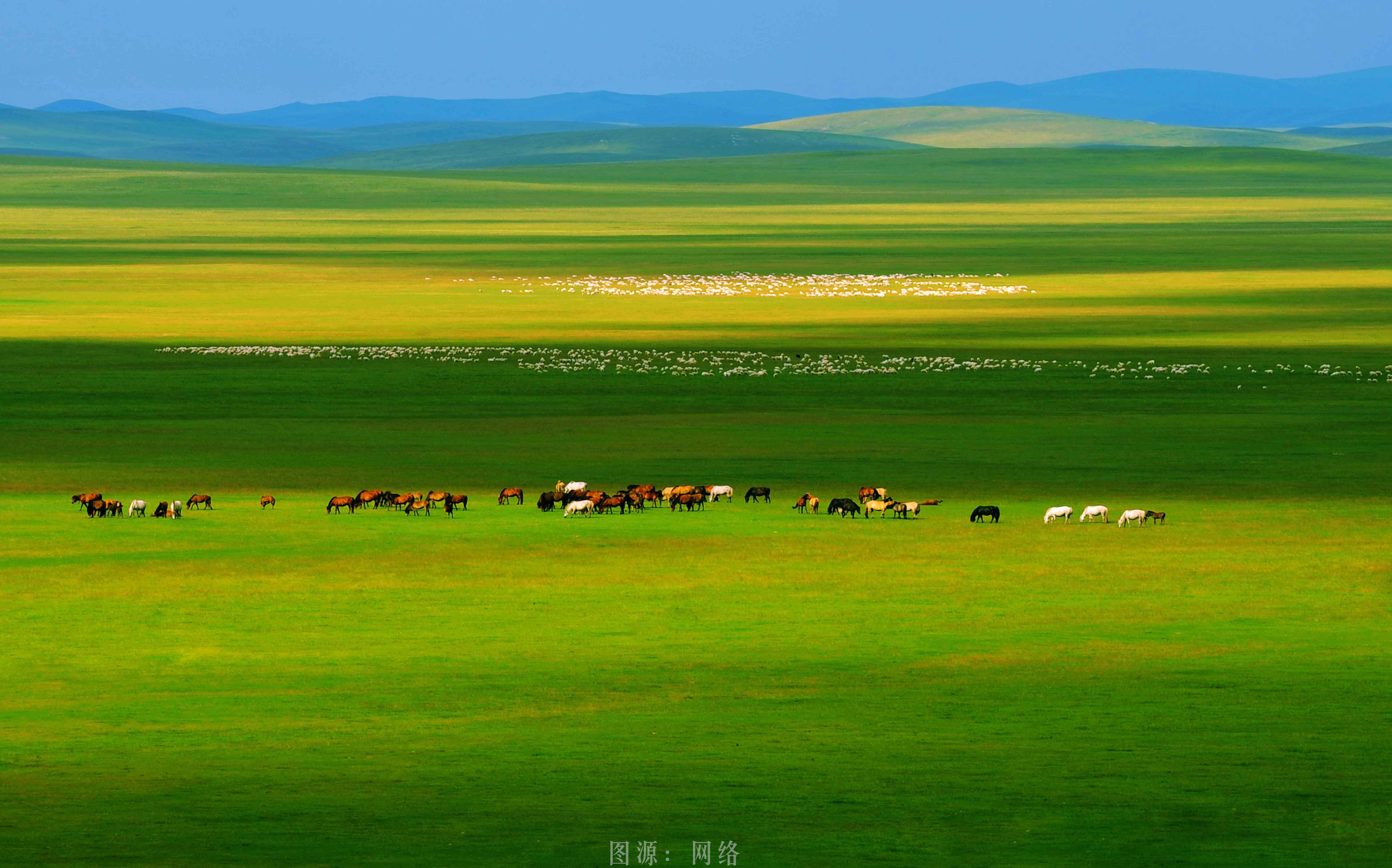 真实草原风景图片大全图片