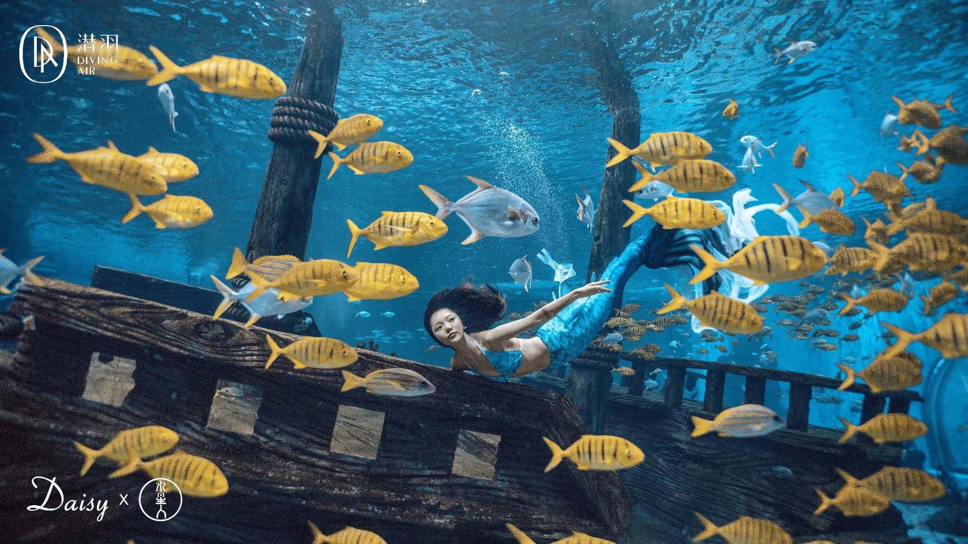 潜羽美人鱼相信美的力量