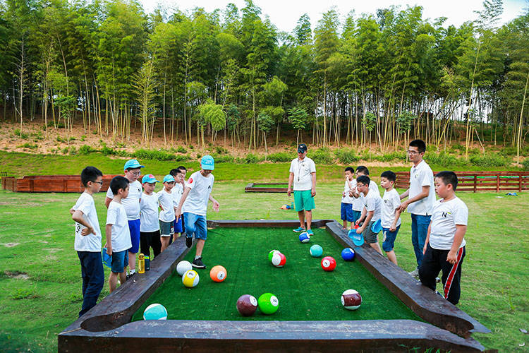 生态泳池:野趣国际营地拥有国内首个生态泳池,利用纯生物的方法杀菌