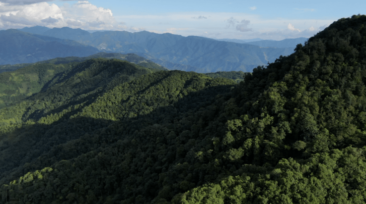 (黄连山)