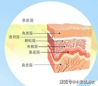 经验教程|皮肤不吸收护肤品怎么改善？50%的人都是这些原因导致的