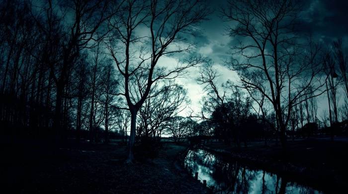 家电企业所倚重的新零售模式，却是商家眼中的窜货平台？-家电圈官网