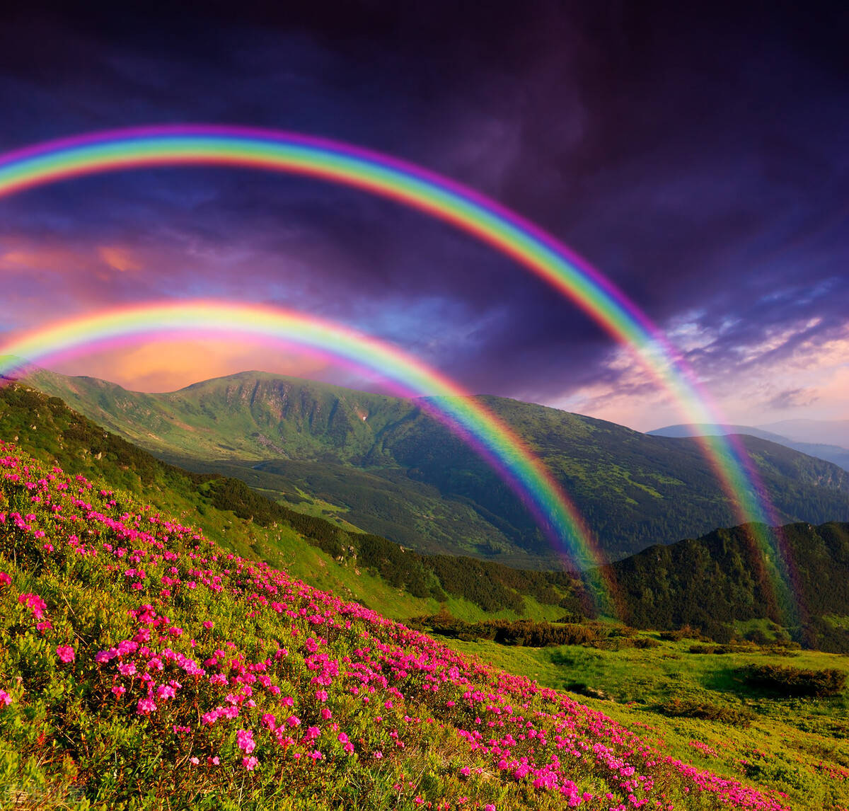 七色彩虹图片真实照片图片