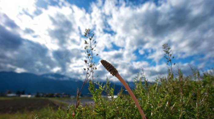 激发消费者购买欲,家电厂商需要闯三关才能走出泥潭-家电圈官网