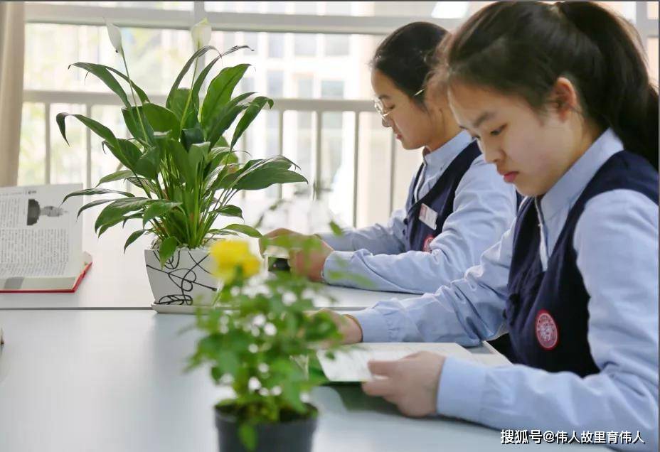 重庆礼嘉中学校服图片