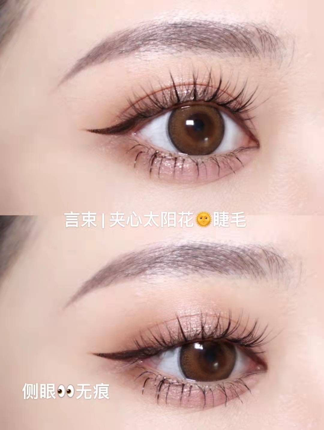 mm言束 | 夹心太阳花睫毛
