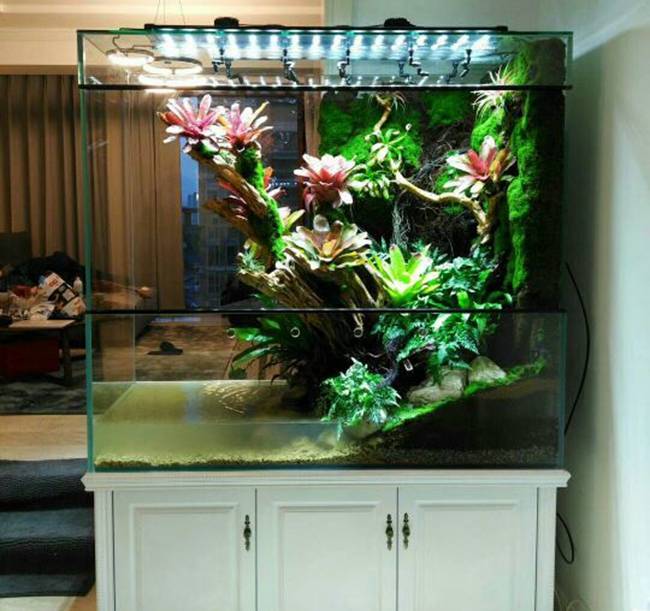那就定做一个鱼缸摆设在家吧!