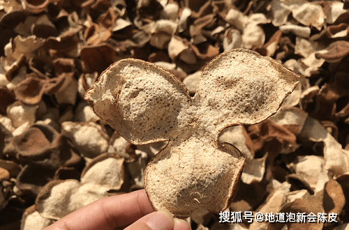 陈皮什么味 a2806ff5b84b4693aa39753947216c50.png