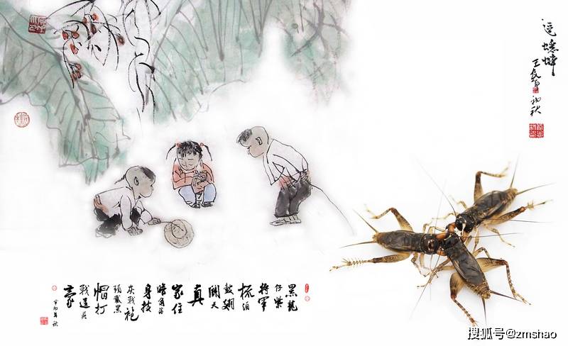 美丽的蟋蟀图