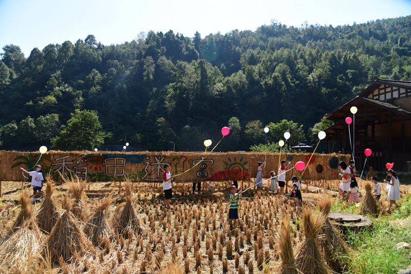 张家界黄龙洞景区:假日出行添新景,稻田乐园迎客国庆