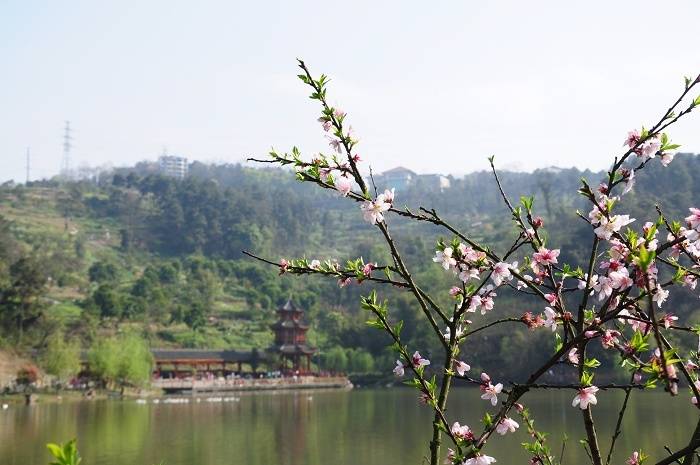 涪陵白鹤森林公园美景