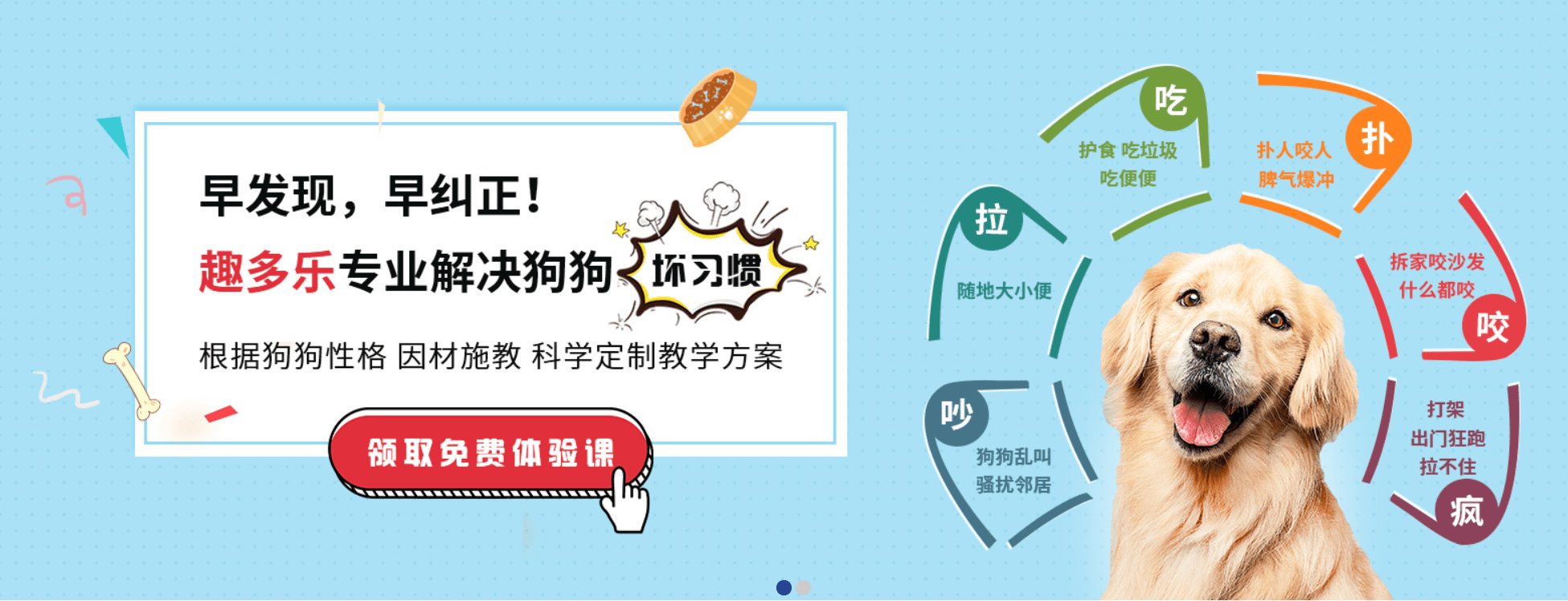 宠物怎么纠正拉布拉多乱拉问题？深圳训狗基地建议幼犬做狗狗训练更合适