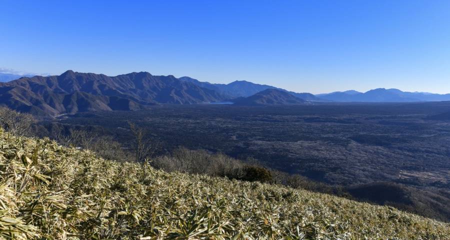 没想到家电导购员的春天又来了-家电圈官网