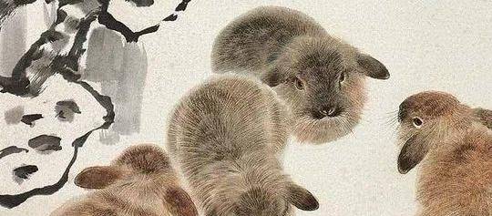 企足而待是什么生肖，经典解析