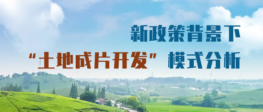新政策背景下土地成片开发模式分析