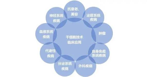 科普丨解答关于干细胞的19个知识点