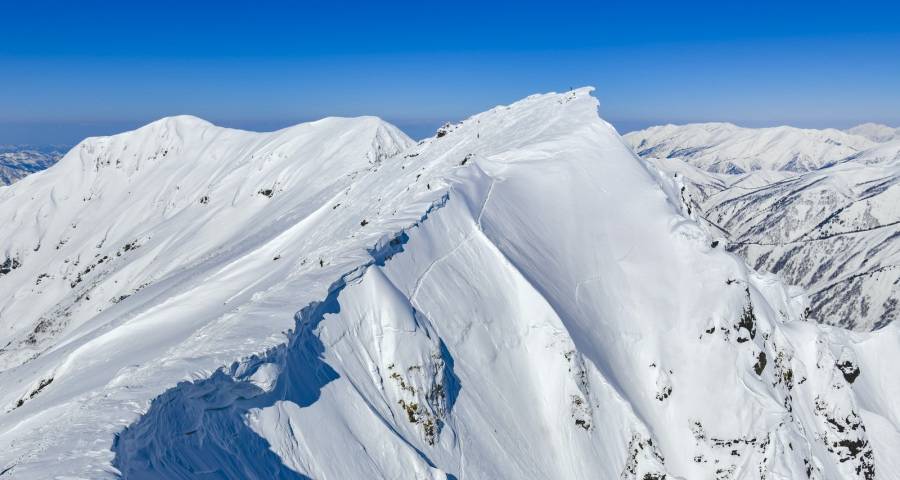 一些高端家电只有高价没有高品质-家电圈官网