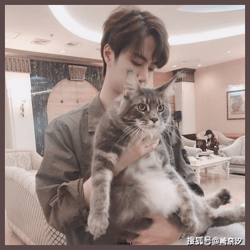 品牌 两大代言将官宣！王一博为何总被青睐？