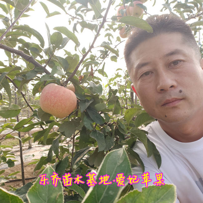 56b9eff7f822403c8cbda6d715ee7d5a.jpeg