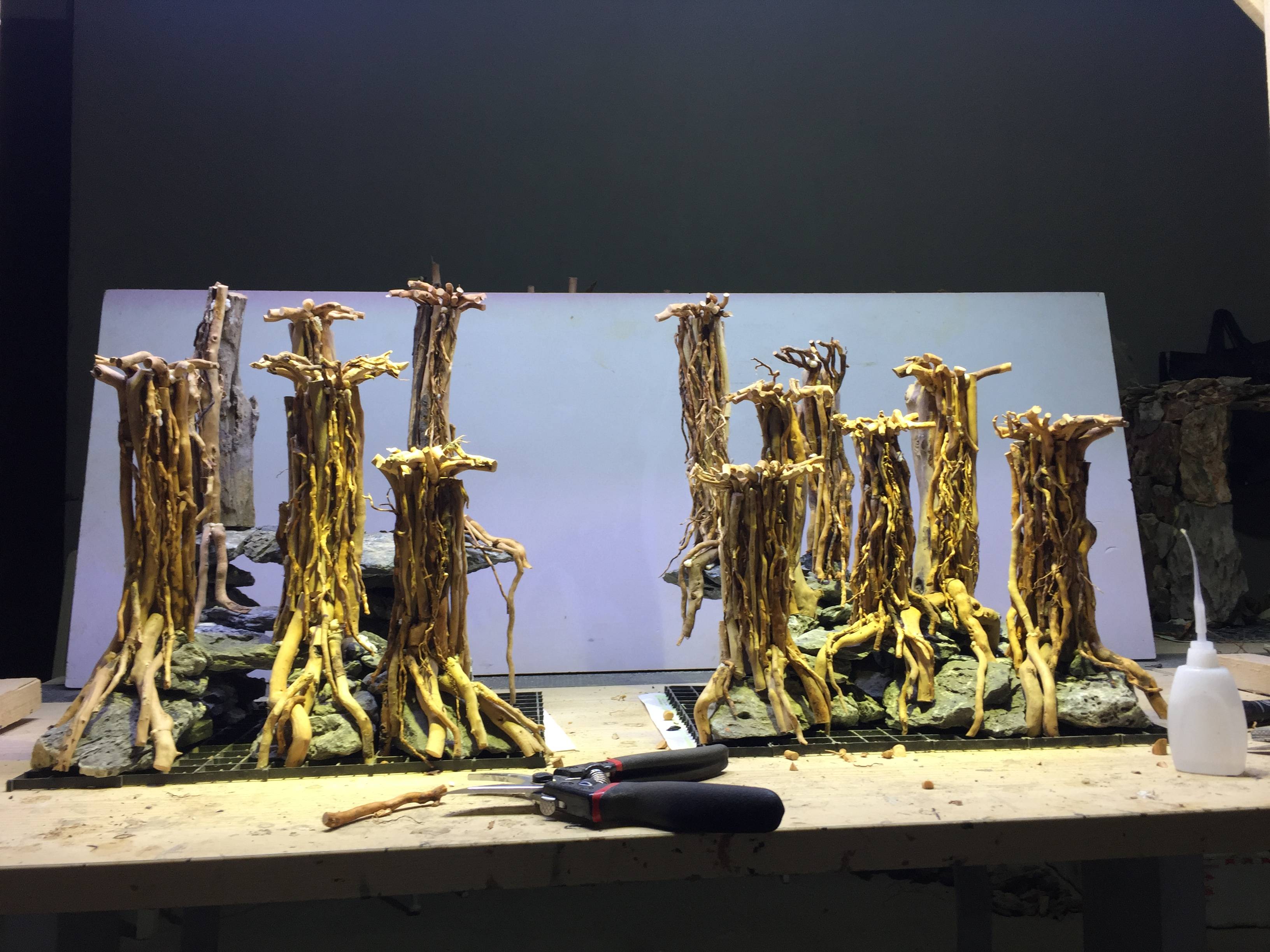 成群的八零缸莫斯树草缸造景骨架制作步骤花絮