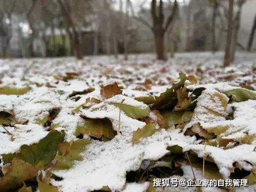 原创全国气温“蹦极大赛”开启！