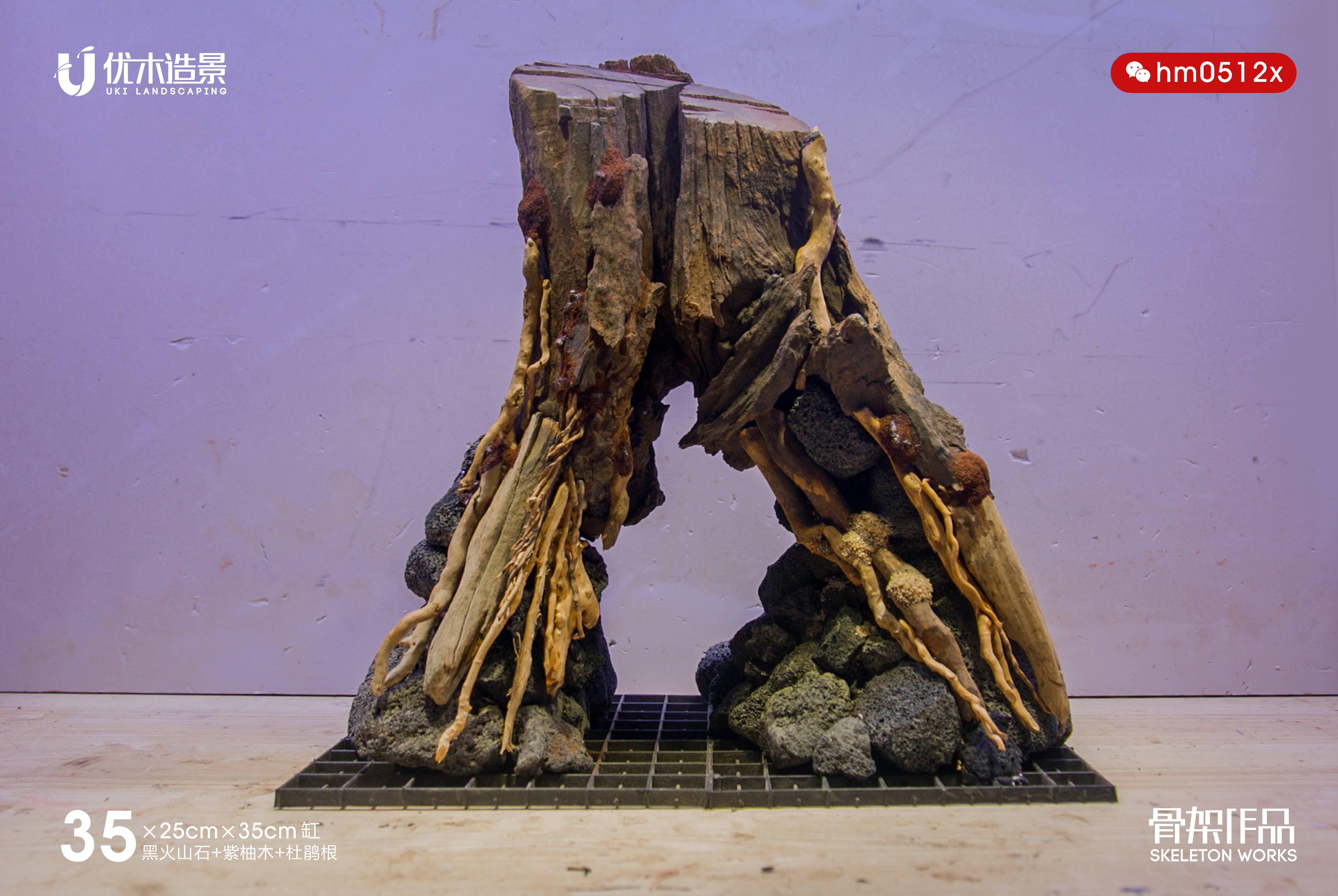 紫柚木加黑火山石制作的迷你型带拱洞的草缸造景骨架作品