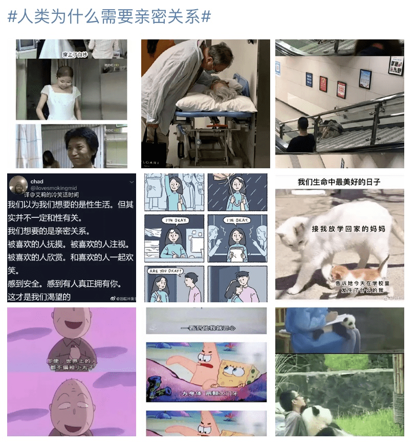 dfb512b98f844d7aa8ffc81b90f5f732.png