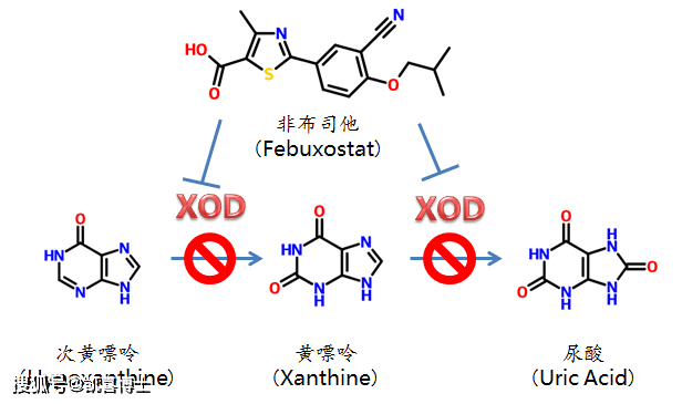 别嘌醇和非布司他图片