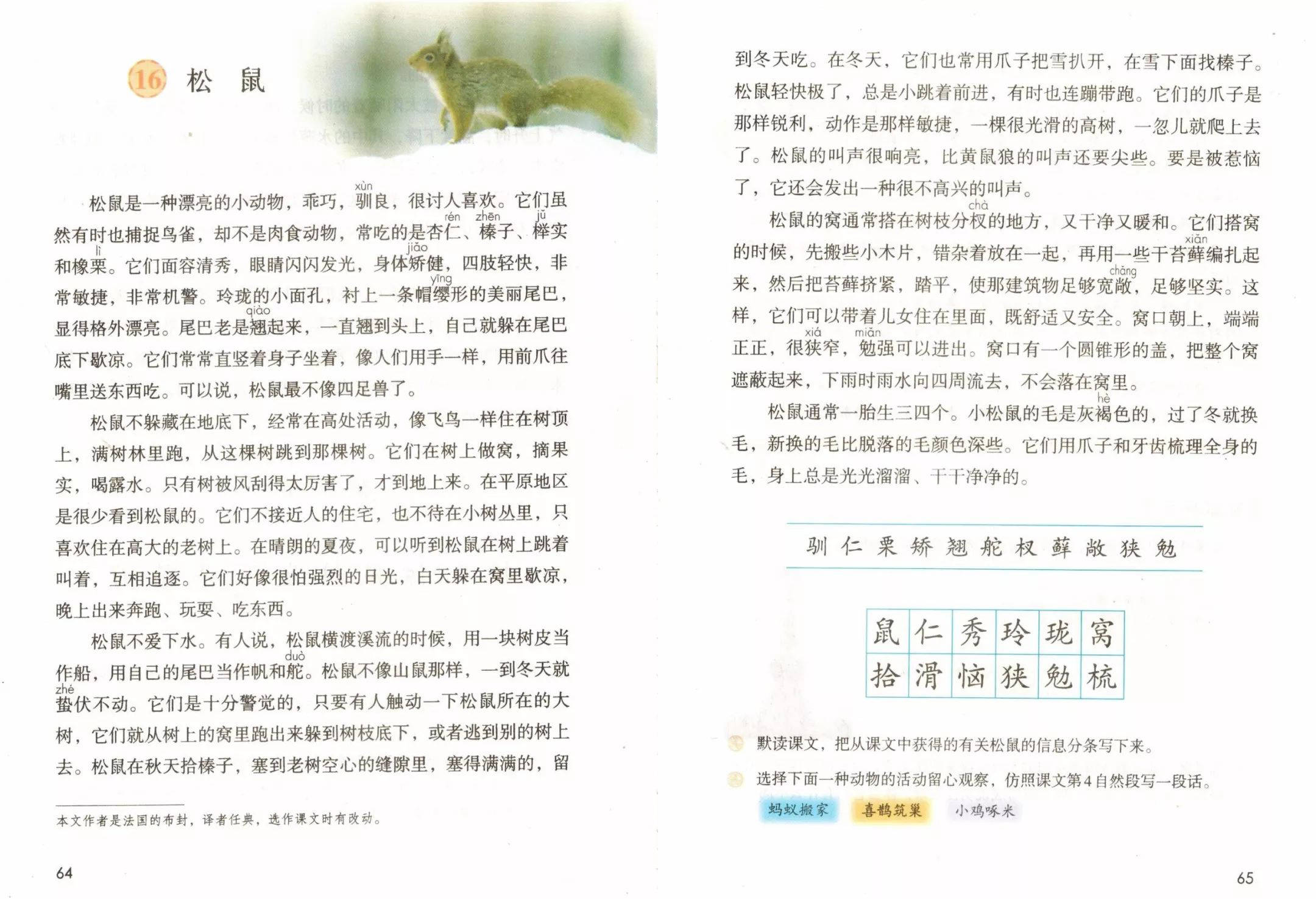 《松鼠》试讲教案及备课思路_课文