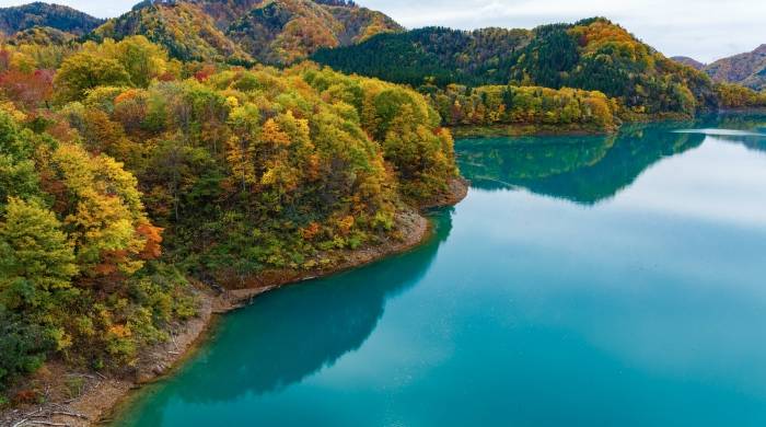 拿“黑科技”打动Z世代用户,家电企业的好经不能念歪了-家电圈官网