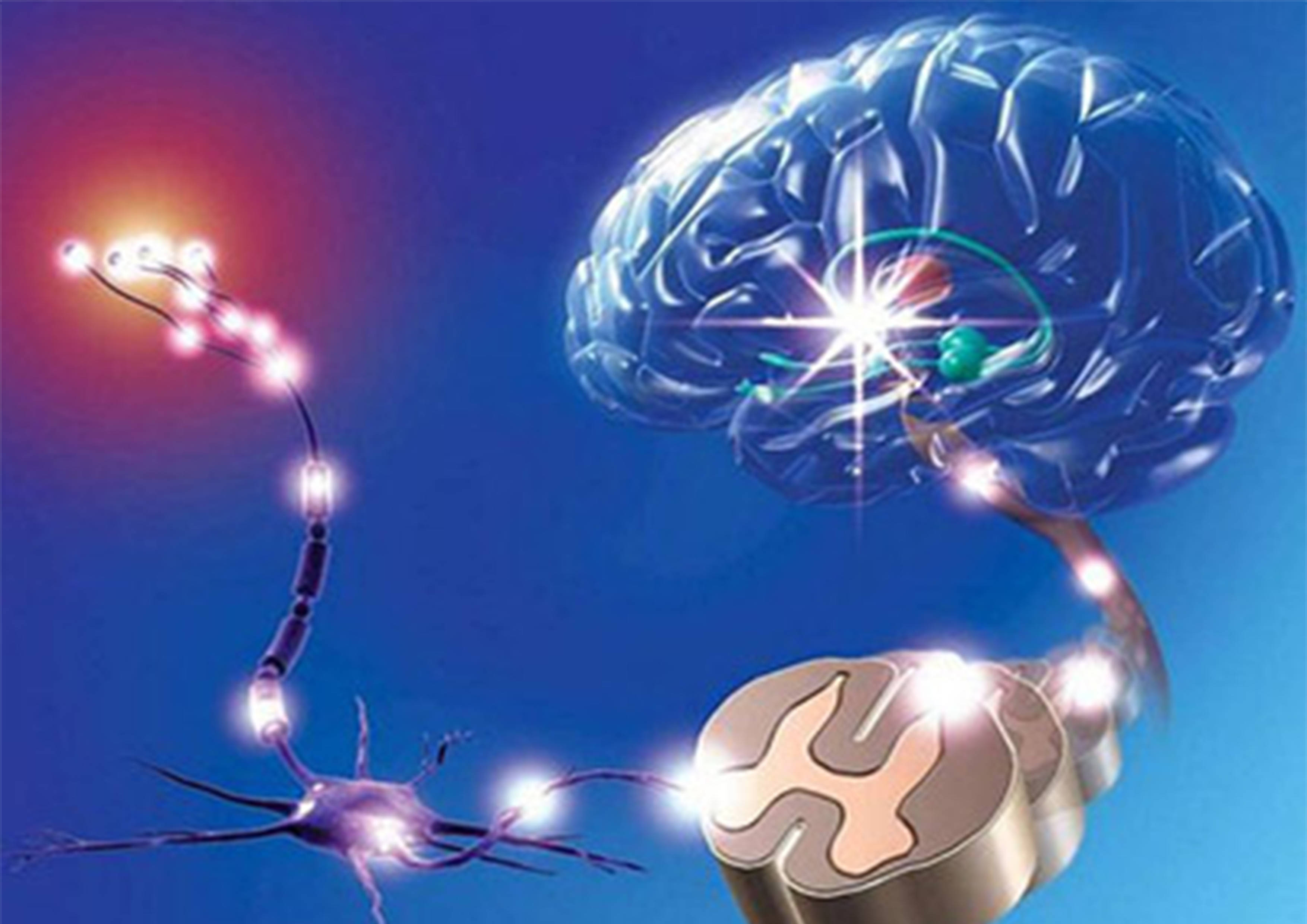 固体|运动神经元的后期护理，你知道如何去做吗？