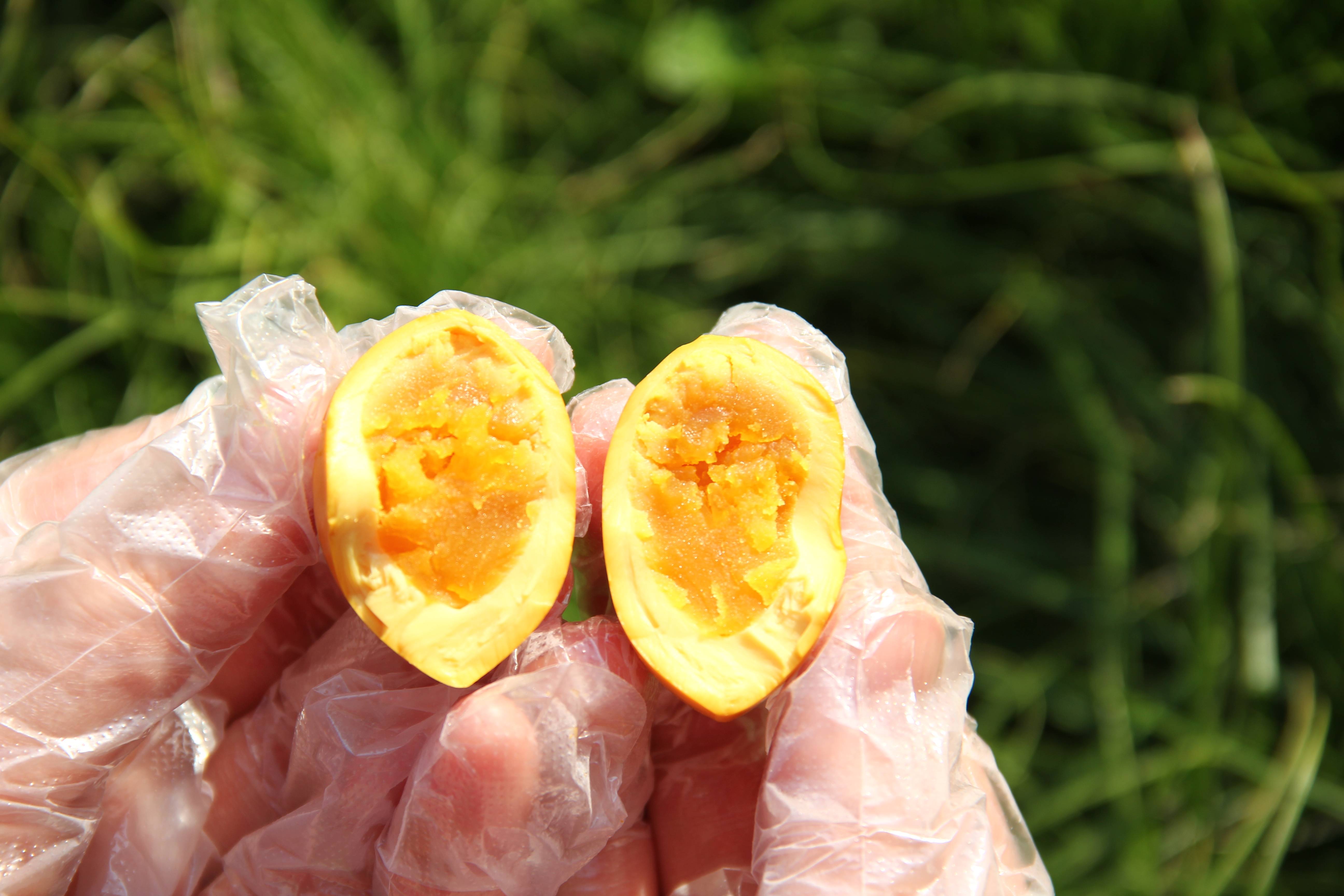 缺点|胡哥食验室 │溏心的卤蛋?脆的猪肉脯?爱吃零食的你快快看过来!