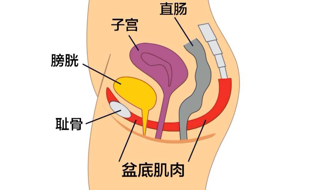 说起产后康复