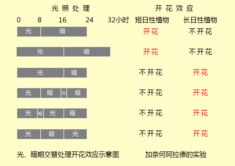 智慧农业数字化 用数据代替经验 关于日照时长耕作指导及耕作改善说明 动植物 智慧农业数字化 用数据代替经验 关于日照时长耕作指导及耕作改善说明 动植物