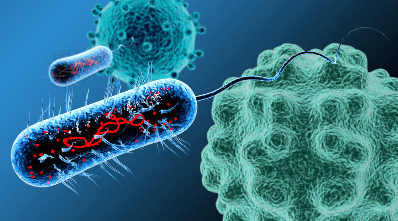 黑科技如何制造人类V2.0？