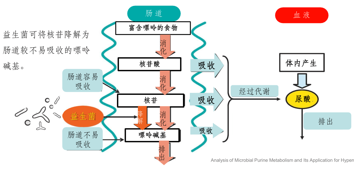 痛风定胶囊降尿酸原理图片