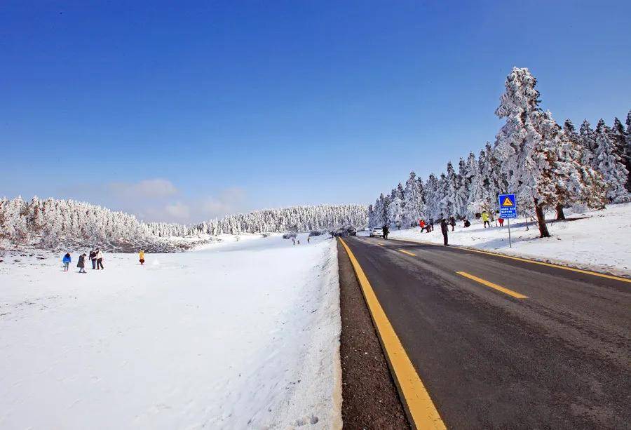 仙女山雪景真实照片图片