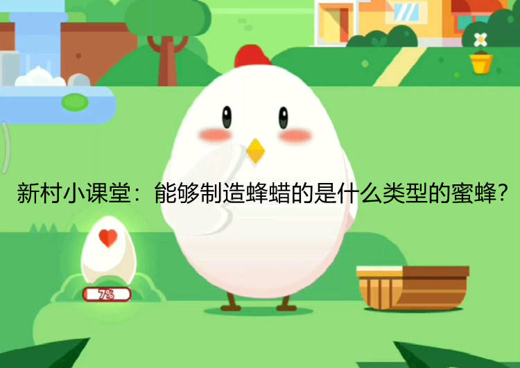新村小课堂：能够制造蜂蜡的是什么类型的蜜蜂？