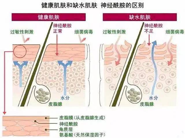 产品三甲医生开的「神仙乳」！