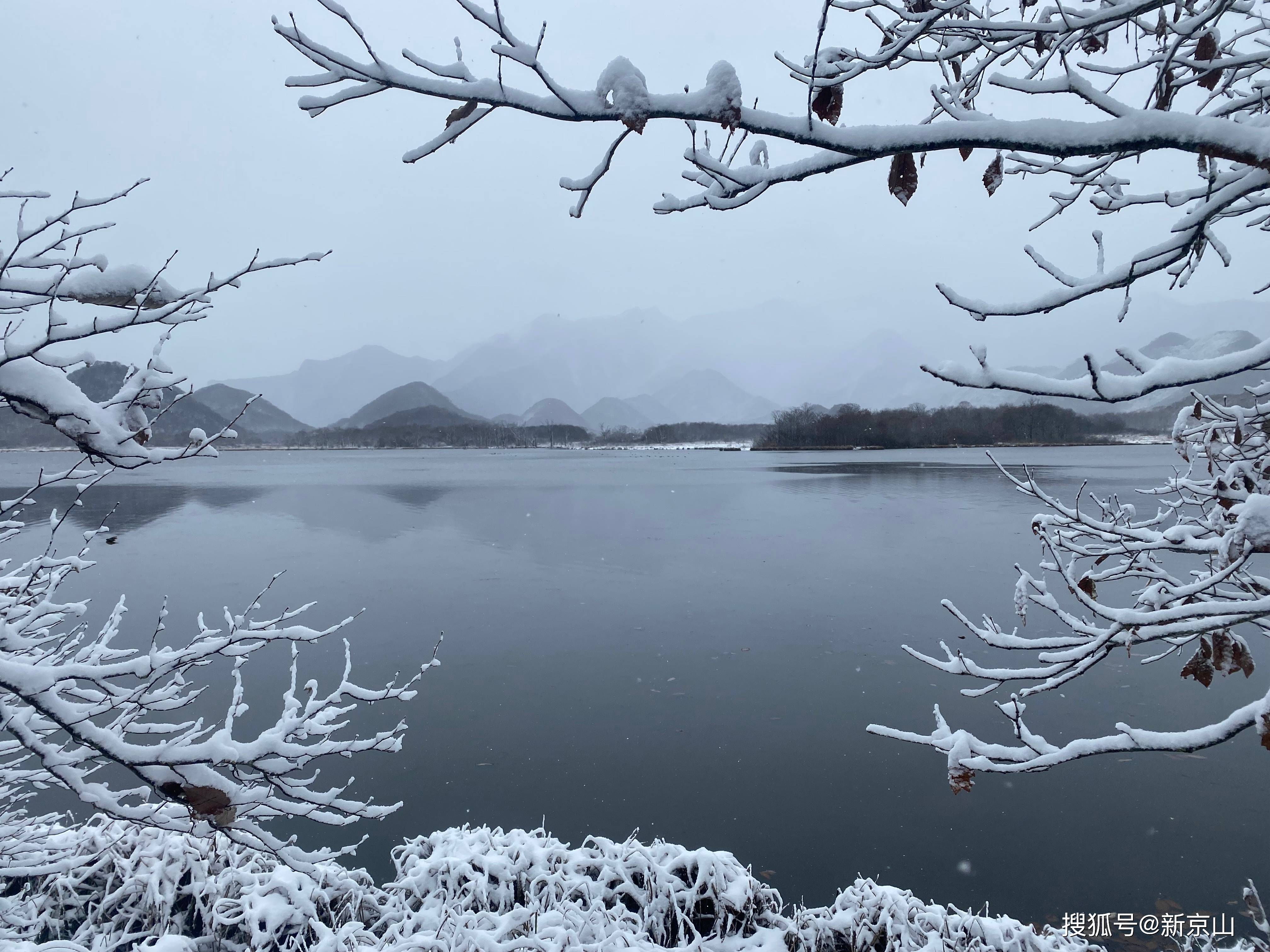 立冬景色真实图片图片